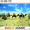 G-09-70-tra-Camelloswtmk