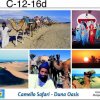 C-12-16d-tra-CamelSafariwtmk